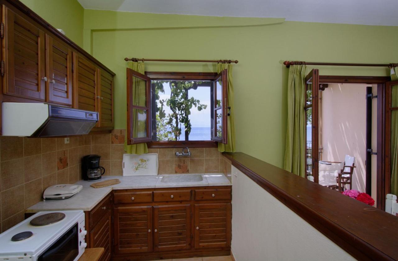 Iro Family Apartments Pelion เลโฟกาสโตร ภายนอก รูปภาพ